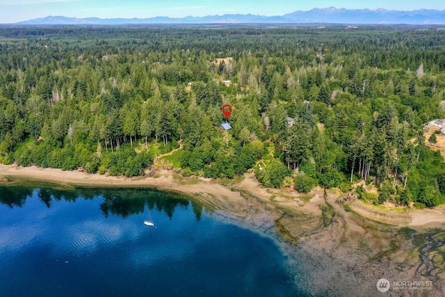 793 E Stadium Beach Rd W, Grapeview, WA 98546 - aerial view of property's location featuring a water and mountain view