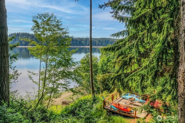 793 E Stadium Beach Rd W, Grapeview, WA 98546 - water view with a heavily wooded area