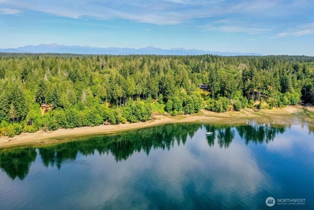 793 E Stadium Beach Rd W, Grapeview, WA 98546 - bird's eye view of a nearby body of water