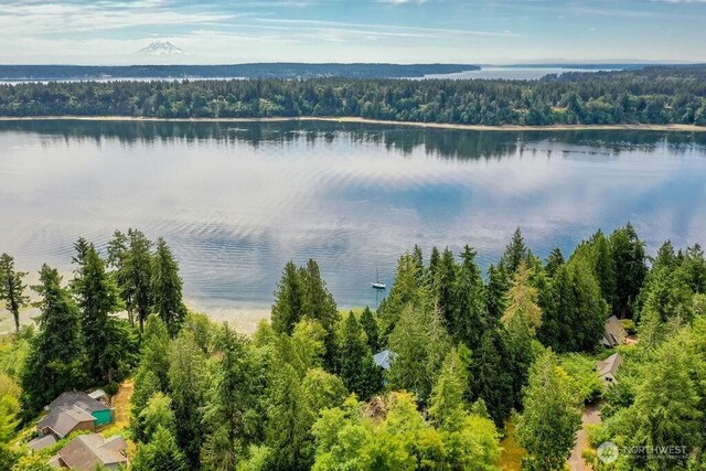 793 E Stadium Beach Rd W, Grapeview, WA 98546 - water view with a heavily wooded area