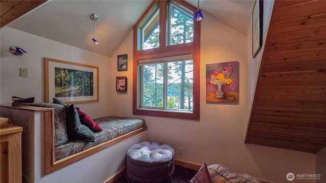 755 Ferry Rd, Lopez Island, WA 98261 - bedroom featuring high vaulted ceiling