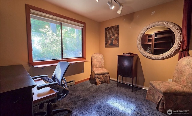 755 Ferry Rd, Lopez Island, WA 98261 - office with carpet and rail lighting