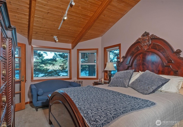 755 Ferry Rd, Lopez Island, WA 98261 - bedroom with wooden ceiling, carpet floors, and track lighting