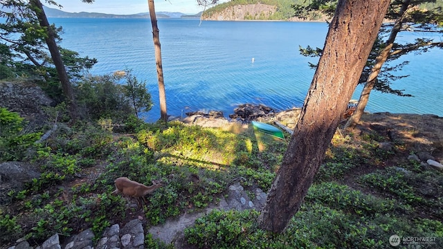 755 Ferry Rd, Lopez Island, WA 98261 - water view featuring a mountainous background