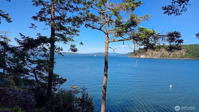 755 Ferry Rd, Lopez Island, WA 98261 - water view featuring mountains