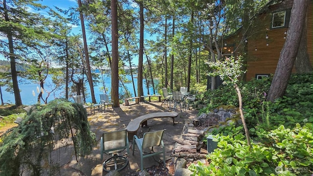 755 Ferry Rd, Lopez Island, WA 98261 - view of yard featuring a patio and a water view