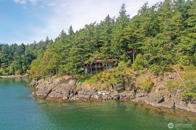 755 Ferry Rd, Lopez Island, WA 98261 - view of subject property with a forest and a large body of water
