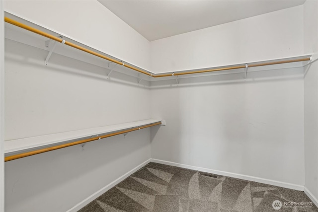 321 Range View Rd, Ellensburg, WA 98926 - spacious closet with carpet