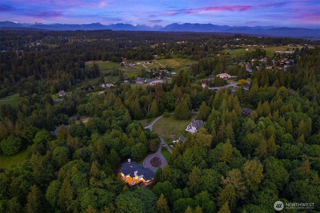 12633 75th St SE, Snohomish, WA 98290 - photo 40