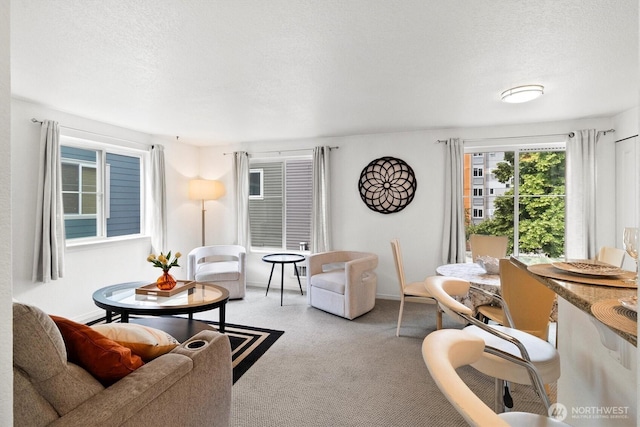 300 10th Ave Unit B310, Seattle, WA 98122 - living area with light carpet and a textured ceiling
