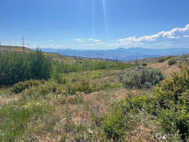 0LOT12 Lone Spur Rd, Oroville, WA 98844