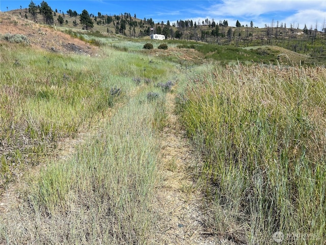 0LOT12 Lone Spur Rd, Oroville, WA 98844