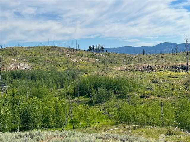 0LOT12 Lone Spur Rd, Oroville, WA 98844