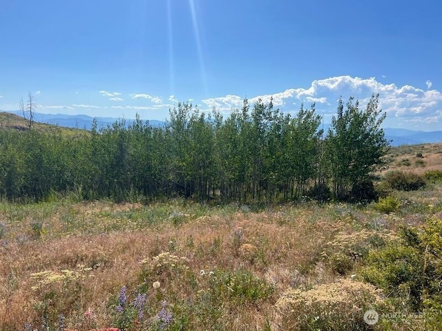 0LOT12 Lone Spur Rd, Oroville, WA 98844