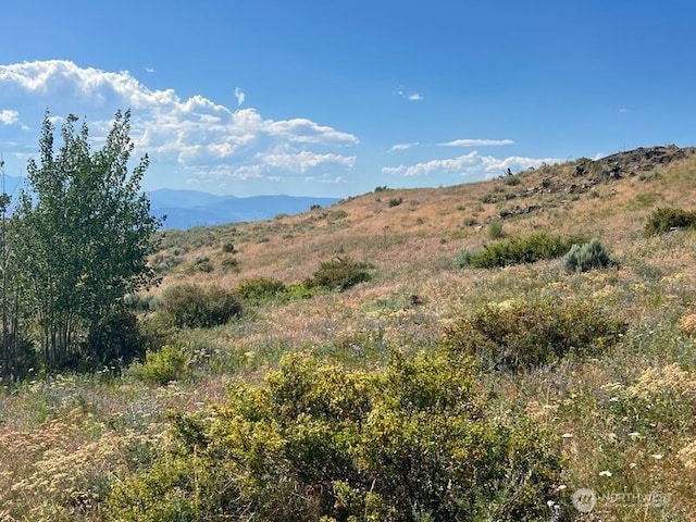 0LOT12 Lone Spur Rd, Oroville, WA 98844