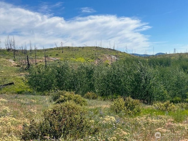 0LOT12 Lone Spur Rd, Oroville, WA 98844