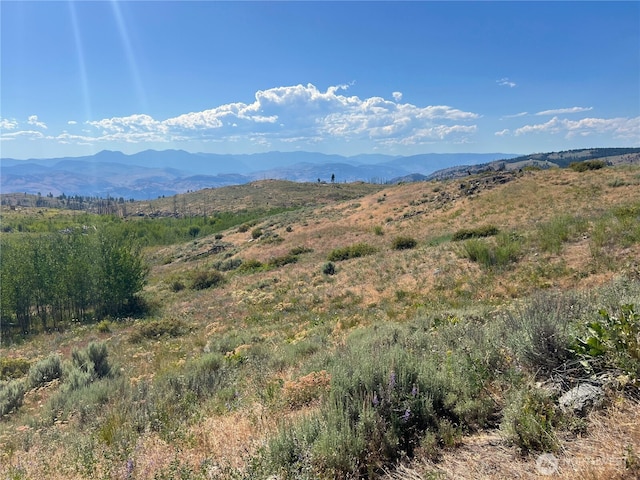 0LOT12 Lone Spur Rd, Oroville, WA 98844
