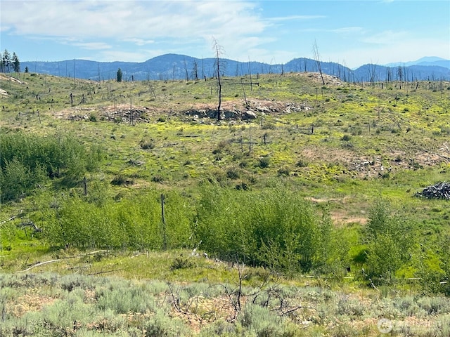 0LOT12 Lone Spur Rd, Oroville, WA 98844