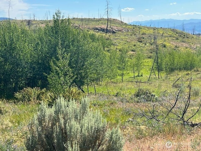 0LOT12 Lone Spur Rd, Oroville, WA 98844