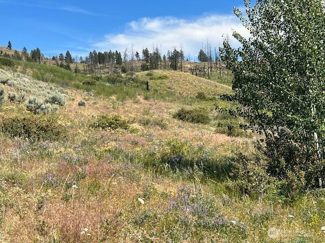 0LOT12 Lone Spur Rd, Oroville, WA 98844