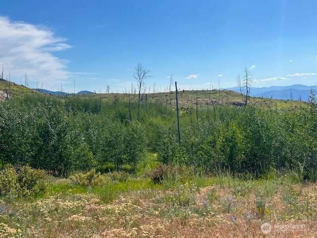 0LOT12 Lone Spur Rd, Oroville, WA 98844