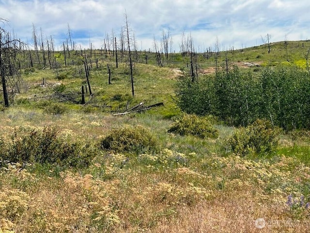0LOT12 Lone Spur Rd, Oroville, WA 98844