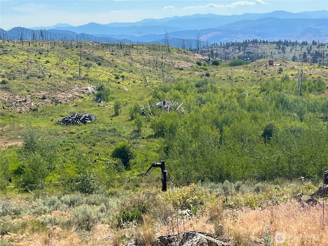 0LOT12 Lone Spur Rd, Oroville, WA 98844