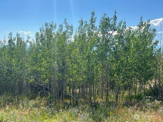 0LOT12 Lone Spur Rd, Oroville, WA 98844