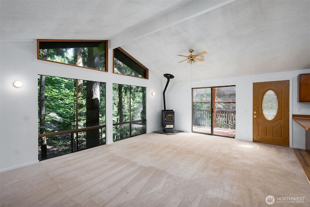 6 Hillside Pl, Bellingham, WA 98229 - unfurnished living room with a wood stove, carpet floors, plenty of natural light, and a textured ceiling
