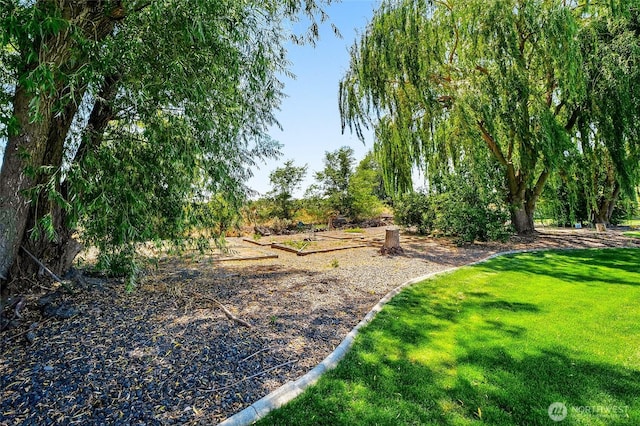 10391 Rd 5.6 NE, Moses Lake, WA 98837 - view of grassy yard