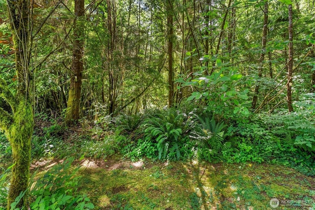 43 Lynnwood Ln, Hoquiam, WA 98550 - photo 39