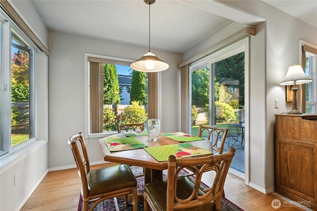 3617 NE 101st St, Vancouver, WA 98686 - photo 11