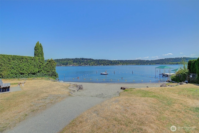 19211 SE 45th Ct, Issaquah, WA 98027 - photo 34