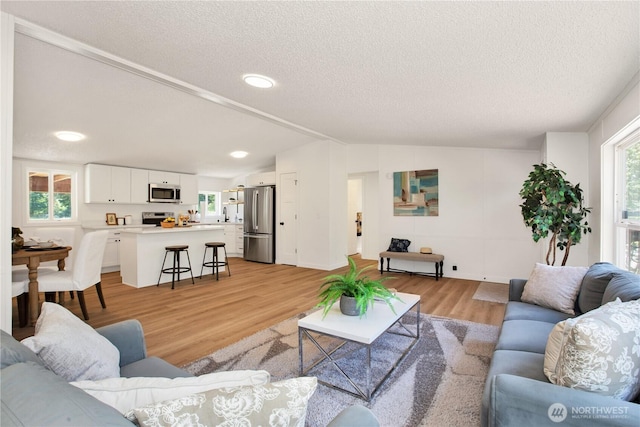 36715 Allen Rd S, Roy, WA 98580 - living room with lofted ceiling, a textured ceiling, and light wood-type flooring