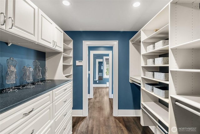 1631 Interlaken Pl E, Seattle, WA 98112 - walk in closet with dark wood-style flooring