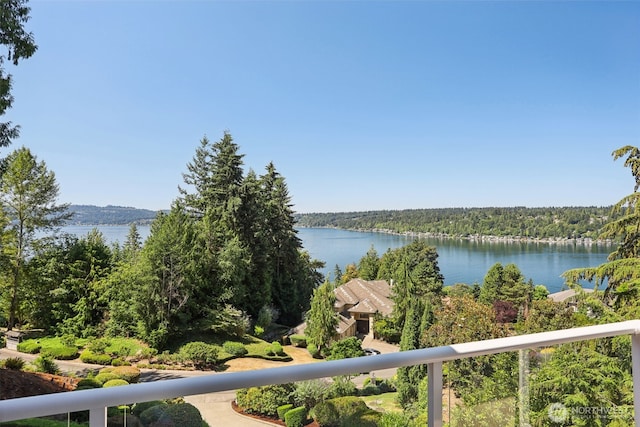 1706 205th Pl NE, Sammamish, WA 98074 - water view with a forest