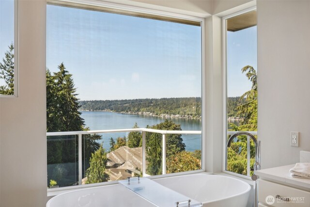 1706 205th Pl NE, Sammamish, WA 98074 - full bath with a water view and a soaking tub