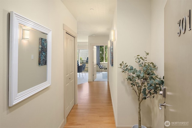 2035 Eastlake Ave E Unit 301, Seattle, WA 98102 - hallway featuring light wood finished floors and baseboards