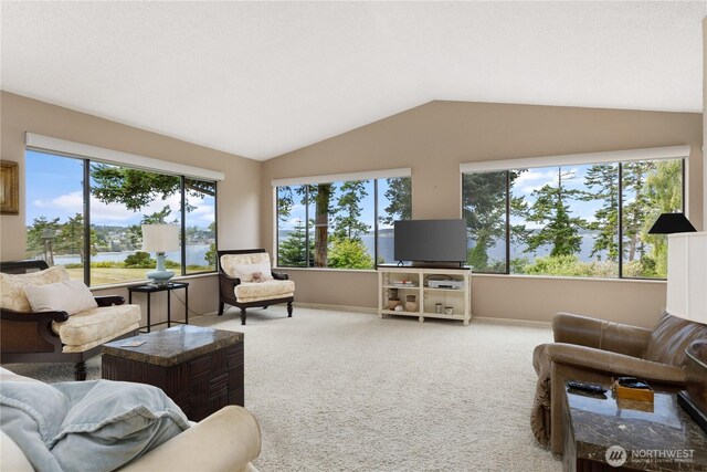 1204 Leisure St, Coupeville, WA 98239 - photo 6