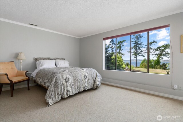 1204 Leisure St, Coupeville, WA 98239 - photo 29