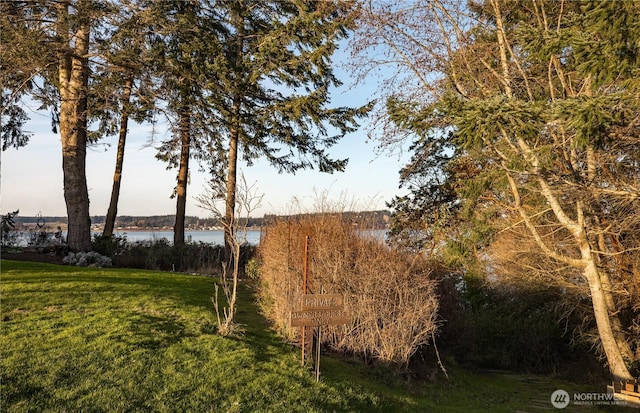 1204 Leisure St, Coupeville, WA 98239 - photo 39