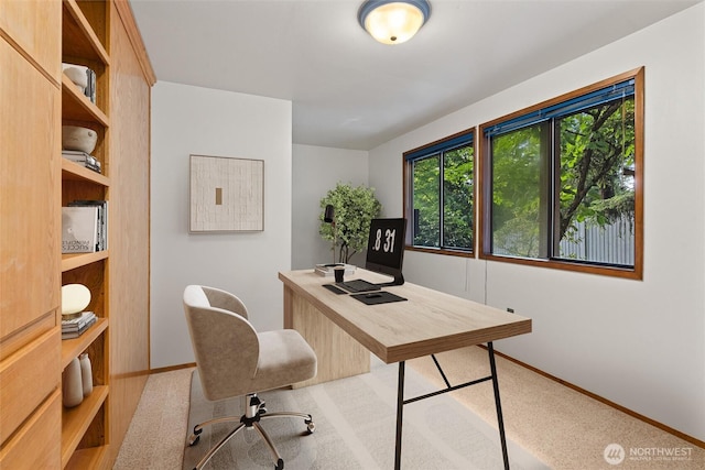 3216 142nd Pl NE, Bellevue, WA 98007 - home office with baseboards
