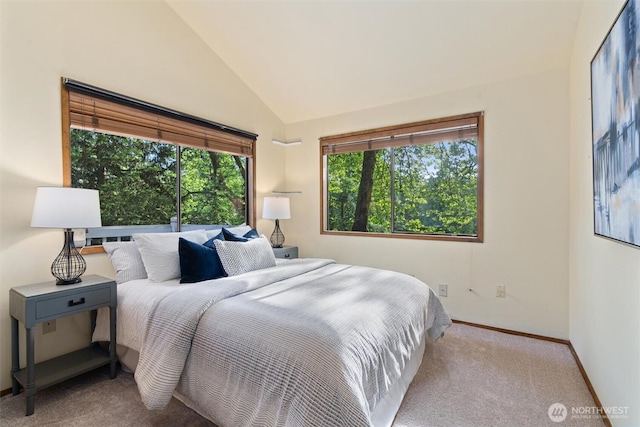 3216 142nd Pl NE, Bellevue, WA 98007 - bedroom featuring carpet flooring and lofted ceiling