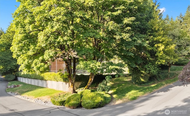 3216 142nd Pl NE, Bellevue, WA 98007 - view of side of home featuring a yard