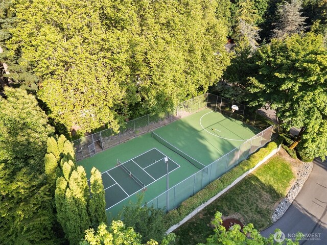 3216 142nd Pl NE, Bellevue, WA 98007 - aerial view of a forest