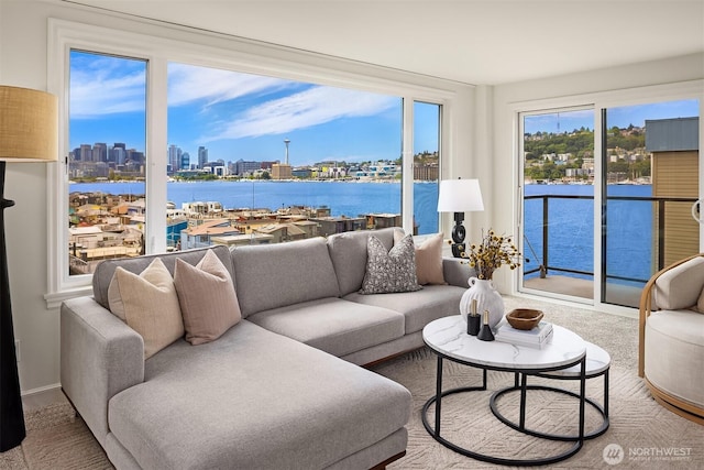 2301 Fairview Ave E Unit 404, Seattle, WA 98102 - living area featuring a skyline view and a water view