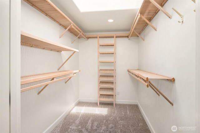 2301 Fairview Ave E Unit 404, Seattle, WA 98102 - spacious closet with carpet