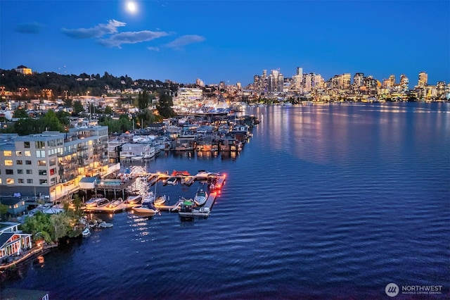 2301 Fairview Ave E Unit 404, Seattle, WA 98102 - water view featuring a view of city lights