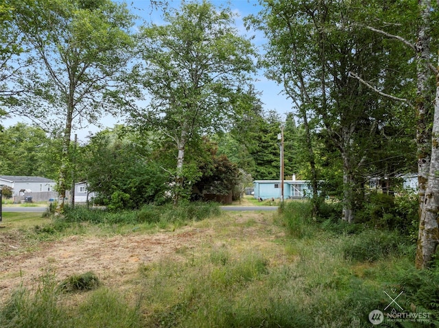 225 E Rain St NE, Ocean Shores, WA 98569 - photo 4