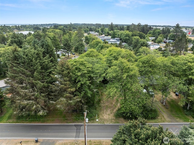 225 E Rain St NE, Ocean Shores, WA 98569 - photo 7